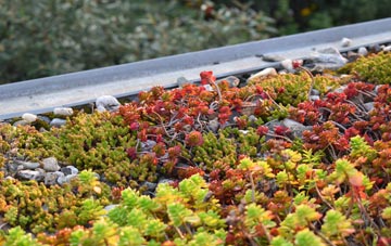 the cost of Dunnikier green roof installation