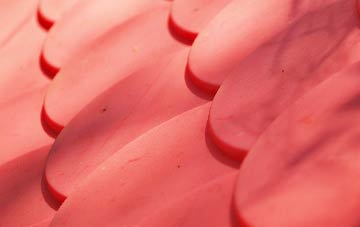 Dunnikier plastic roof costs