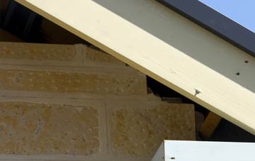 soffit repair Dunnikier