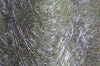 Dunnikier fibreglass roof work